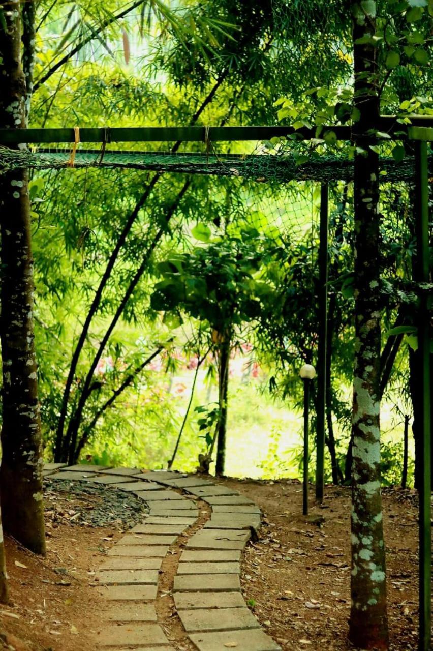 Ayurnest Pool Resort Wayanad Batheri Exterior photo