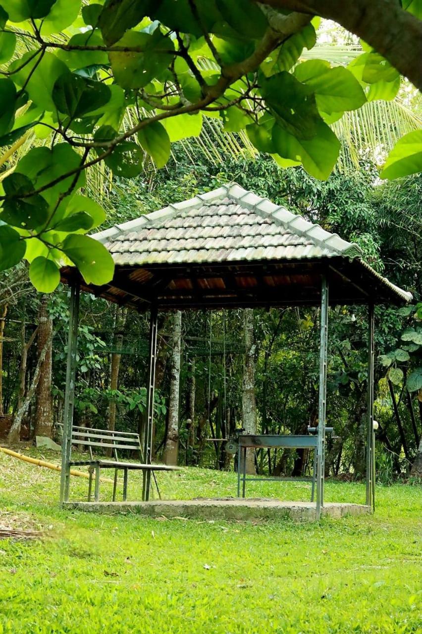 Ayurnest Pool Resort Wayanad Batheri Exterior photo