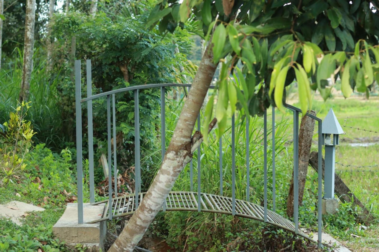 Ayurnest Pool Resort Wayanad Batheri Exterior photo